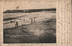 Beach near Pudding Creek Postcard