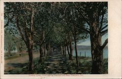 Lovers Lane Overlooking Capitola Bay Postcard