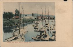 Scene on Napa River Postcard
