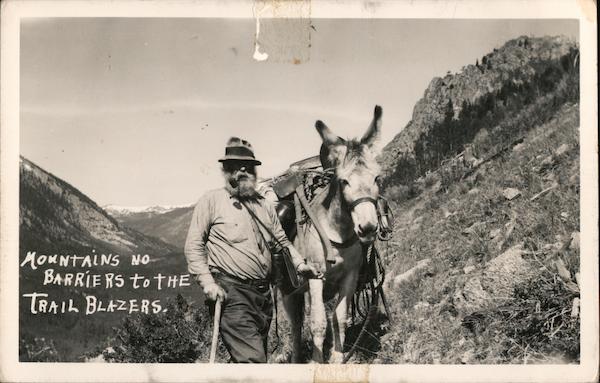 Mountains No Barriers to the Trail Blazers Donkeys