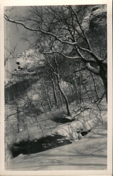 Snow and Trees On A Mountainside Jeffersonville Vermont