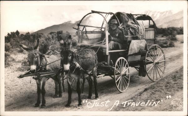 Just A Travelin' Donkeys