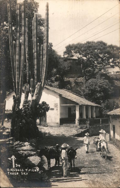 Typical Home, Huge Cactus Taxco GR Mexico