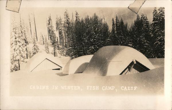 Cabins in Winter Fish Camp California
