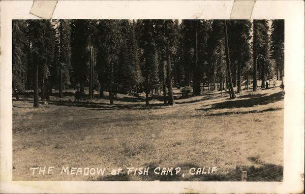 The Meadow Fish Camp California