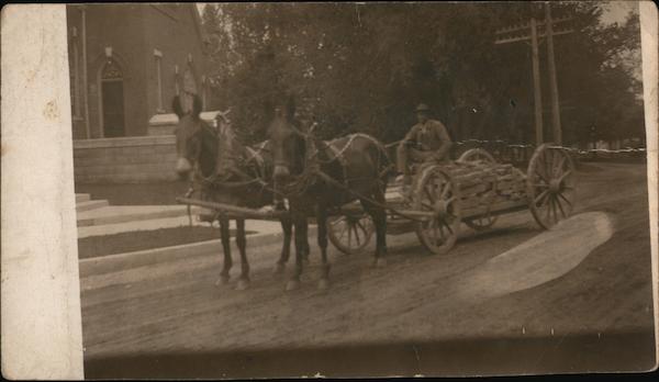 Man with Horse-Drawn Wagon Horses