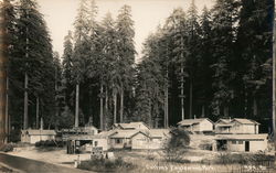 Collins Englewood Park Postcard