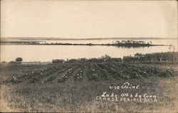 The Point, Lake Saskatoon Postcard
