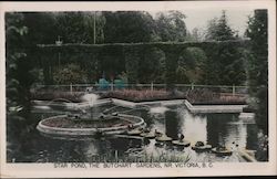 Star Pond, the Butchart Gardens Postcard