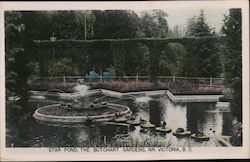 Star Pond, the Butchart Gardens Victoria, BC Canada British Columbia Postcard Postcard Postcard