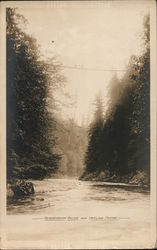 Suspension Bridge Over Capilano Canyon North Vancouver, BC Canada British Columbia Postcard Postcard Postcard