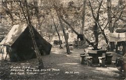 Camp Site, Pfieffer Big Sur State Park Postcard