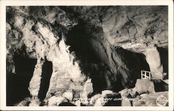 Interior Sunny Jim's Cave Postcard