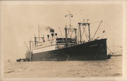 Southern Crown Ship at Sail Postcard