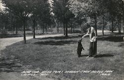 Bear Cub, Uncle Tom's Tavern, Twin Bridge Park Postcard