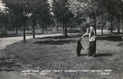 Bear Cub, Uncle Tom's Tavern, Twin Bridge Park Crivitz, WI Postcard Postcard Postcard