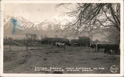 Cattle Ranch, High Sierras in the Distance Postcard