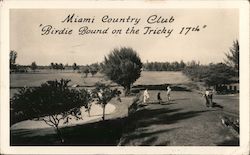 Birdie Bound on the Tricky 17th - Miami Country Club Postcard