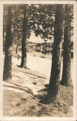 Lake Arrowhead California Postcard Postcard Postcard