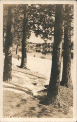 Lake Arrowhead Postcard