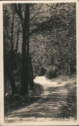 Irvingdale-Lytle Creek Canyon Postcard