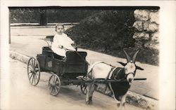 Goat Pulling Miniature Buckboard, Ethel Walters Rowland's Boy Postcard