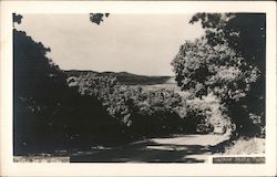 Garner State Park Postcard