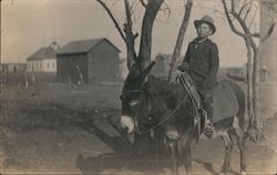 Boy Riding a Donkey Postcard