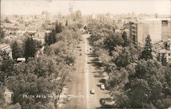 Paseo de la Reforma Postcard