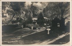 Stock #846519 Thumbnail