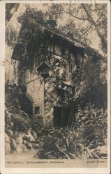 The Old Mill, Busch Gardens Postcard