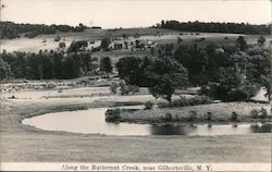 Along the Butternut Creek Gilbertsville, NY Postcard Postcard Postcard