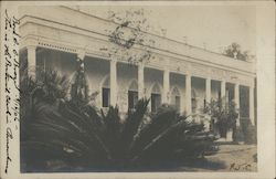 Botanical (?) Club Postcard