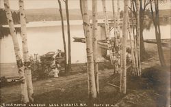 Burke Haven Landing, Lake Sunapee Postcard