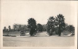 Beverly Hills Hotel (vintage) Postcard