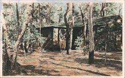 Hand Colored Rustic Cabin Postcard