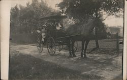 Family Riding in a Horse-Drawn Carriage Postcard