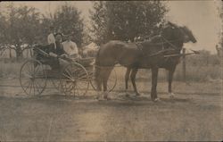 Two Horse Carriage - Woman in Big Fancy Hat Postcard