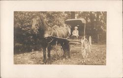 Horse-drawn Carriage with a Young Girl La Moille, IL Horses Postcard Postcard Postcard