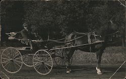 A Man in a Horse Drawn Carriage Postcard