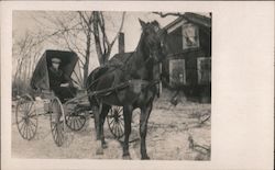 Man in a Horse-Drawn Carriage Postcard