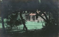 Log Cabin Through the Trees Postcard