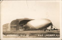 The Hindenburg, D-LZ 129 Postcard