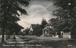 Pennsylvania Avenue Chehalis, WA Postcard Postcard Postcard