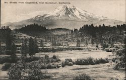 Mt. Shasta from Edgewood Postcard