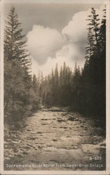 Sacramento River from Sweet Brier Bridge Postcard