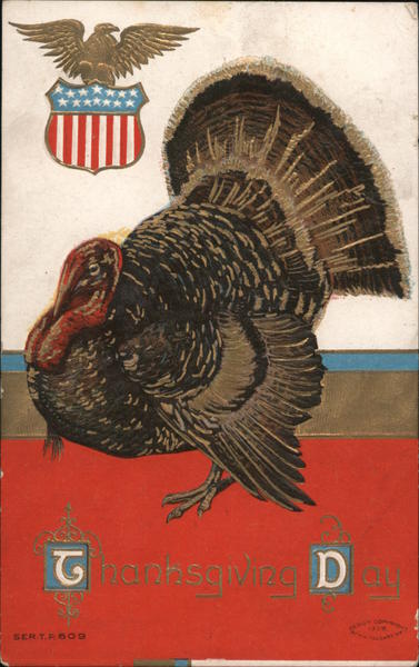 Thanksgiving Day Turkeys