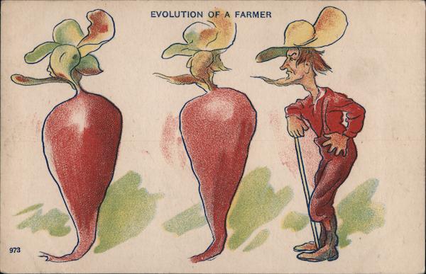 Comic - Evolution of a Farmer - Radish turns into Farmer