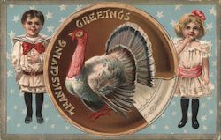 Thanksgiving Greetings Postcard