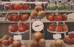 Oregon Apples Horticultural Display Portland, OR Postcard Postcard Postcard